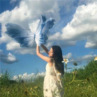 拳王梦
